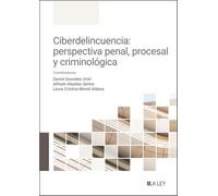 Ciberdelincuencia: perspectiva penal, procesal y criminológica