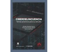Ciberdelincuencia. Temas Prácticos Para Su Estudio