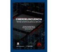 Ciberdelincuencia. Temas Prácticos Para Su Estudio