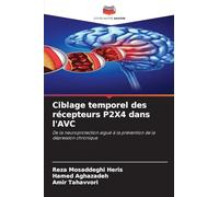 Ciblage temporel des récepteurs P2X4 dans l'AVC: De la neuroprotection aiguë à la prévention de la dépression chronique