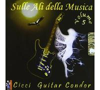 Cicci Guitar Condor - Sulle Ali Della Musica V.5