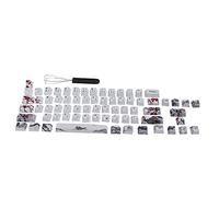 ciciglow Juego De Teclas Personalizadas, Interesante Kit De Teclas PBT para Bricolaje Que Incluye 71 Teclas, Interruptor, Teclado Mecánico, Teclas, Patrón De Flor De Ciruelo Wangjiang(Inglés-japonés)
