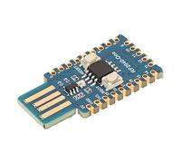 ciciglow RP2040 Una Placa de Desarrollo, Puerto USB A Macho Kit de Microcontrolador de Doble Núcleo Placa de Expansión Pico PCB Flash de 4 MB para C, para C ++, para Desarrollo de Python