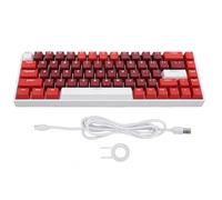 ciciglow Teclado Mecánico de 68 Teclas, Teclado para Juegos con Retroiluminación RGB de 3 Modos, Teclado Compacto para Juegos con Cable, Interruptor Azul