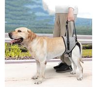 CiCixixi Arnés de Elevación Talla, Soporte y Rehabilitación para Perros Enfermos o Edades de PE, Arnés para Patas Traseras con Asa Extraíble y Cordón Ajustable,Portabilidad,L