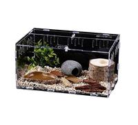 CiCixixi Terrario de Caracoles Caja de Transparente Transporte de Acrílico,Terrario de Caracoles,Caja de alimentación para Reptiles, Reptiles Portátiles de Alimentación (30cm x 20cm x 15cm)