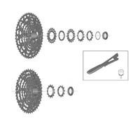 Ciclismo de Coronas Marca SHIMANO para Unisex Adulto