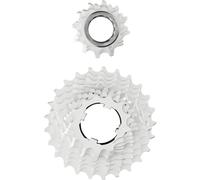 Ciclismo de Piñones Marca Campagnolo para Unisex Adulto