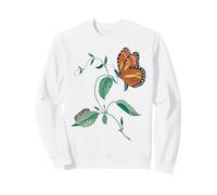 Ciclo de metamorfosis de la Mariposa monarca Sudadera