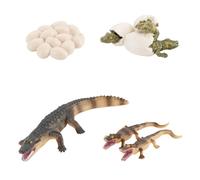 Ciclo de Vida de Juguetes - | Figuritas de Huevos y Crecimiento Animal, Modelo Educativo | para Niños Pequeños Pascua Decoración Escuela