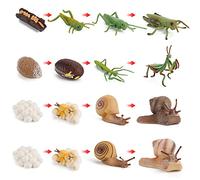 Ciclo de Vida de Mantis, Langosta y Caracoles - Fases del Ciclo, Simulación de Modelo Animal, Figuras de 4 Niveles, Insectos y Animales - Juguete Educativo