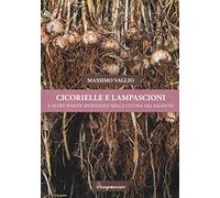 Cicorielle e lampascioni e altre piante spontanee nella cucina del Salento