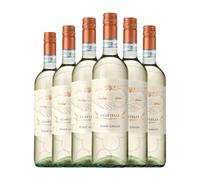 Cielo e Terra I Castelli Pinot Gris Italia Joven 75 cl Vino blanco (Caja de 6 Botellas de 75 cl)