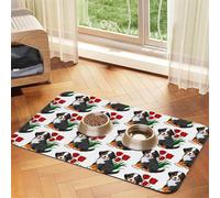 Ciencia química Interesante,Tapete Impermeable para Comida de Mascotas, manteles Individuales para Comida y Agua para Perros y Gatos, tapetes de Cuero sintético para Comida.,40x60cm