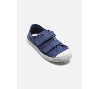 Cienta Bili 24 Azul