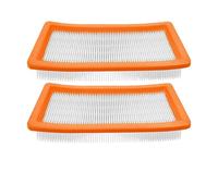 CIENUWPD Filtro Protector del Motor de Repuesto para aspiradora para Kärcher DS 6/ BR 45/22 C BP Pack/DS 5600 / Puzzi 30/4 E DS5500(2 Pcs)