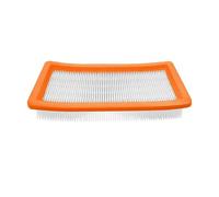 CIENUWPD Filtro Protector del Motor de Repuesto para aspiradora para Kärcher DS 6/ BR 45/22 C BP Pack/DS 5600 / Puzzi 30/4 E DS5500(1 Pcs)