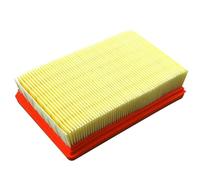 CIENUWPD Limpiador de Filtro de Aire de Motocicleta Elemento de Filtro de admisión de Aire para BMW R1200GS ADV R1200RS R1200RT R1250GS R1250RS R1250RT R1250R(As The Picture)