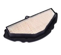 CIENUWPD Limpiador de Filtro de Aire de Motor de Repuesto para Motocicleta Elemento de Filtro de admisión de Aire para Kawasaki Ninja ZX-10R ZX10R ZX-10RR 2008-2023(para ZX10R 2008-2010)