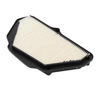 CIENUWPD Limpiador de Filtro de Aire de Motor de Repuesto para Motocicleta Elemento de Filtro de admisión de Aire para Kawasaki Ninja ZX-10R ZX10R ZX-10RR 2008-2023(para ZX10R 2016-2023)