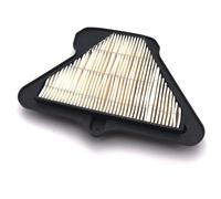 CIENUWPD Limpiador de Filtro de Aire de Motor de Repuesto para Motocicleta Elemento de Filtro de admisión de Aire para Kawasaki Ninja ZX-10R ZX10R ZX-10RR 2008-2023(para ZX10R 2011-2015)