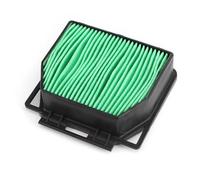 CIENUWPD Limpiador de Filtro de Aire para Motor de Motocicleta, Elemento de Filtro de admisión de Aire ABS para Honda CB300R CB125R Neo Sports Cafe CBF125 2018-2021(As The Picture)