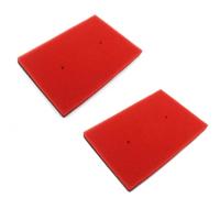 CIENUWPD Limpiador de Filtro de Aire para Motor de Motocicleta Filtro de admisión de Aire Esponja de Espuma Doble para Kawasaki Ninja 250R 300 Z300 2008-2012(2pcs)