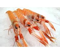 Cigala - Pescadería Premium - 1 kg -Pescado y Marisco Fresco de Lonja (1 kg, Cigala)
