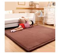 CIGPKLO Alfombra De Vellón Coral Tatami de 3cm Espesor, Alfombra Lana Coral for Dormitorio, Sala Estar, for Ventana, for cabecera, esteras for Gatear for niños(Color-10,200x200cm)