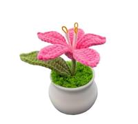 CIGPKLO Flores de Ganchillo Flores de Ganchillo for Tejer, Lirio en Maceta, Planta Tejida a Mano for decoración del hogar, el Coche o Día la Madre(Rose Red)