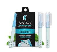 Cigtrus Alternativa natural para fumar sin nicotina y sin tabaco, alivio del antojo no eléctrico, ayuda para dejar de fumar con cigtrus (menta ICY), 3 piezas