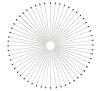 Ciieeo 100 Piezas Fijación Muestra Alfileres de Acero Inoxidable Alfileres Rectos para Colecciones de Insectos Kit de Herramientas