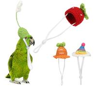 Ciieeo 4 Piezas Gorro de Punto para Mascota Mini, Sombreros para Mascotas Pequeñas, Diseño Zanahoria, Fresa y Flores Arcoíris, Fibra Acrílica, para Festivales y Fotos, para Aves