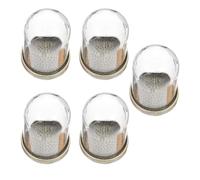 Ciieeo 5 Juegos de Cúpulas de Cristal para Micropaisaje DIY, Bandejas de Latón Antiguas 38x25 Cm, Cubiertas Creativas para Flores Preservadas, Decoración para Terrarios y Jardines