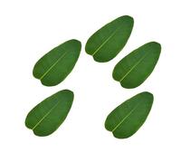Ciieeo 5 Piezas Cuchara de té de Hojas Sueltas decoración de Hojas Decoraciones para uñas Decoracion de Hojas Seda Hoja de Banana Hoja de Canna Artificial Boda Decorar Espada