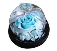 Ciieeo Adorno de Rosa bajo Campana de Cristal Flor Inmortal Pequeña en Caja Decorativa para San Valentín Decoración Romántica para Hogar y Oficina Color Color