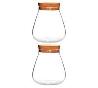 Ciieeo Botellas de Vidrio Transparentes Tapón de Corcho, Macetas Ecológicas para Micropaisajes y Cultivo de Plantas, Paquete de 2 Unidades Pequeñas para Decoración y Jardinería