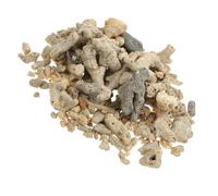 Ciieeo Coral Triturado para Acuario Filtración, Piedra Coralina | Material de Coral Óseo, Forma Aleatoria y Color Caqui, para Peces y Reptiles en Acuarios