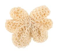 Ciieeo Esponja Corporal Exfoliante de Sisal Natural 12x7x3 Cm para Ducha, Bola de Baño para Eliminar Piel Muerta y Limpiar, Fregador Exfoliante para Adultos, Accesorio de Baño
