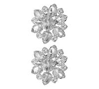 Ciieeo Hebillas de Zapato Pedrería de Cristal Clip Desmontable para Mujer 2 Unidades Aleación Resistente Decoración DIY para Zapatos Planos Tacones y Sandalias Uso Banquetes y