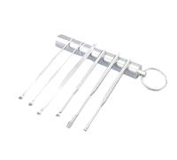 Ciieeo Juego de Limpiador de Cerumen Portátil de Acero Inoxidable Plata, Herramienta Fácil de Manejar para Eliminar Cerumen Precisión, 1 Set Práctico para Cuidado de Oídos