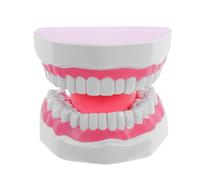 Ciieeo Modelo de Enseñanza 6 Veces Ampliado en Plástico Pvc Color Rosa, Modelo de Dientes con Raíces para Práctica de Higiene Bucal, Apoyo Docente y Estudio Profesional
