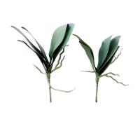 Ciieeo Phalaenopsis 2 Piezas de Plástico Hojas de Orquídeas Artificiales Verde con Pelos Radiculares, Fáciles de Cuidar para Decoración de Salón o Banquete