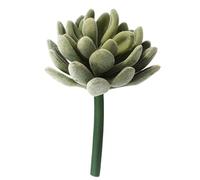 Ciieeo Plantas Suculentas Artificiales De Plástico Cactus Suculentos Realistas Sin Maceta para Decoración De Interiores y Escritorio