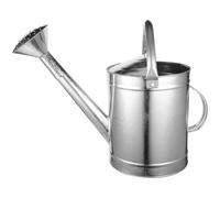 Ciieeo Regadera de 5 litros de Hierro Inoxidable Boquilla Rociadora y Asa Fija, Regadera para Interior y Exterior, Regador para Plantas Pequeñas y Macetas, Botella de Estilo Aleatorio