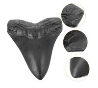 Ciieeo Réplica Megalodon Fósil de Gigante para Decoración y Adorno Prehistórico Detallado y Único