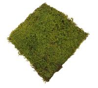 Ciieeo Tapete Recortable de Césped Artificial Verde para Micro Paisajes y