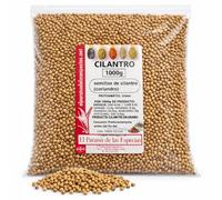 Cilantro Semilla 1 Kgr - Culantro Grano 1 Kgr Coriandro o Perejil Chino o Japonés 1000 gr | Cilantro en Grano 1 kg | Ideal para Guisos, Caracoles, Pollo, Salsas | El Paraíso de las Especias
