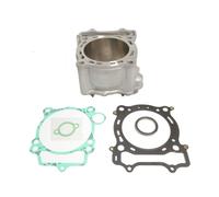 Cilindro ATHENA EC485-013