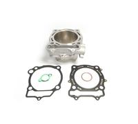 Cilindro ATHENA EC510-011